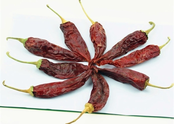 Organic Guajillo Peppers Chili For Fruity In Marinades &amp; Recipes 8000 - 12000SHU